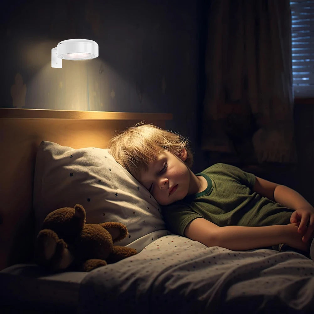 Illuminate Your Art: 2/3Pcs Rechargeable Picture Lights with Remote and Timer for Stunning Wall Displays